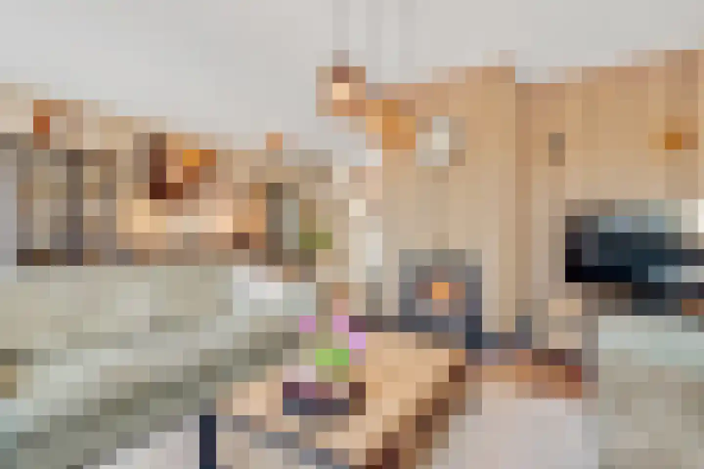 Schuilhoeve 44 Houten thumbnail 14
