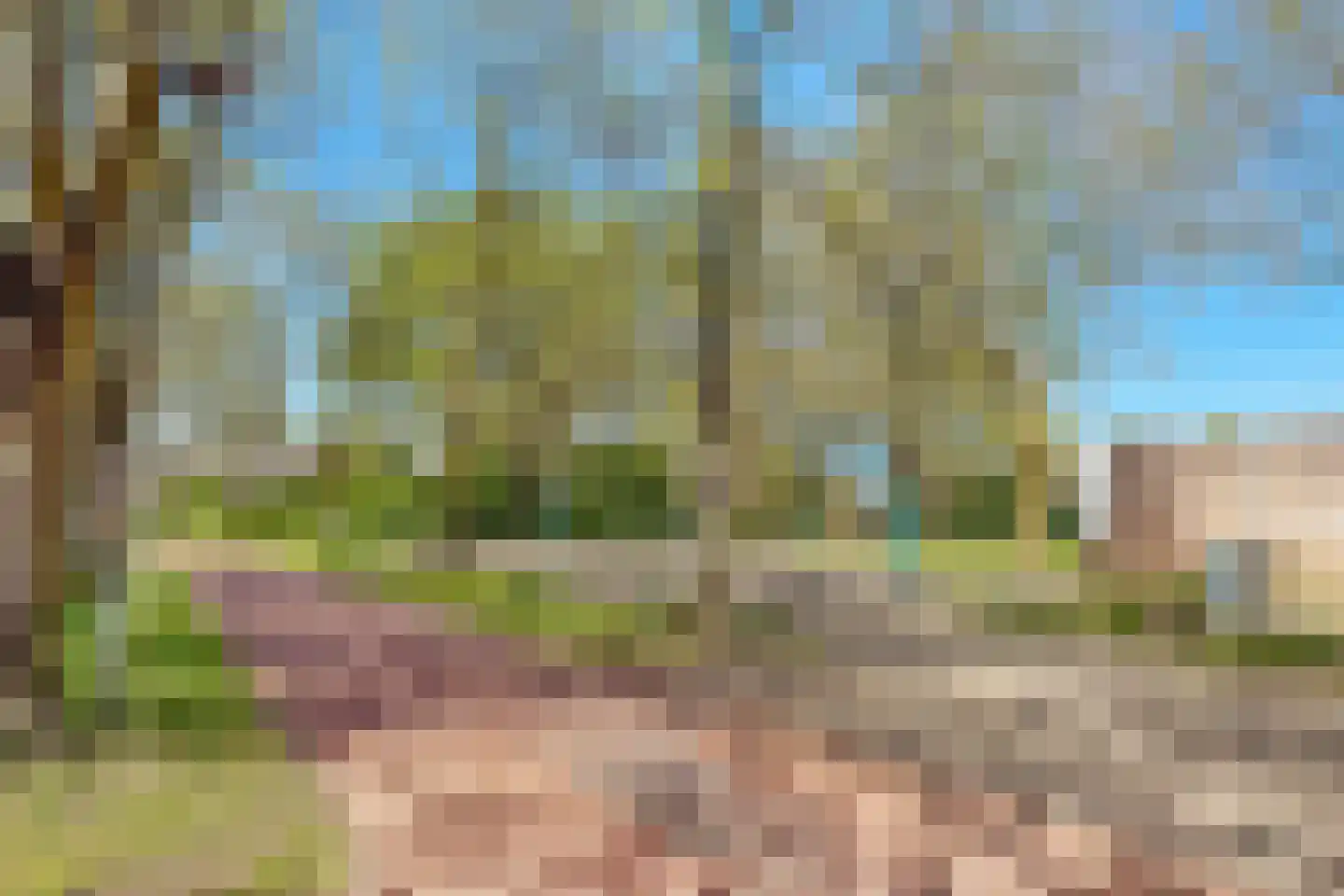 Schuilhoeve 44 Houten thumbnail 55