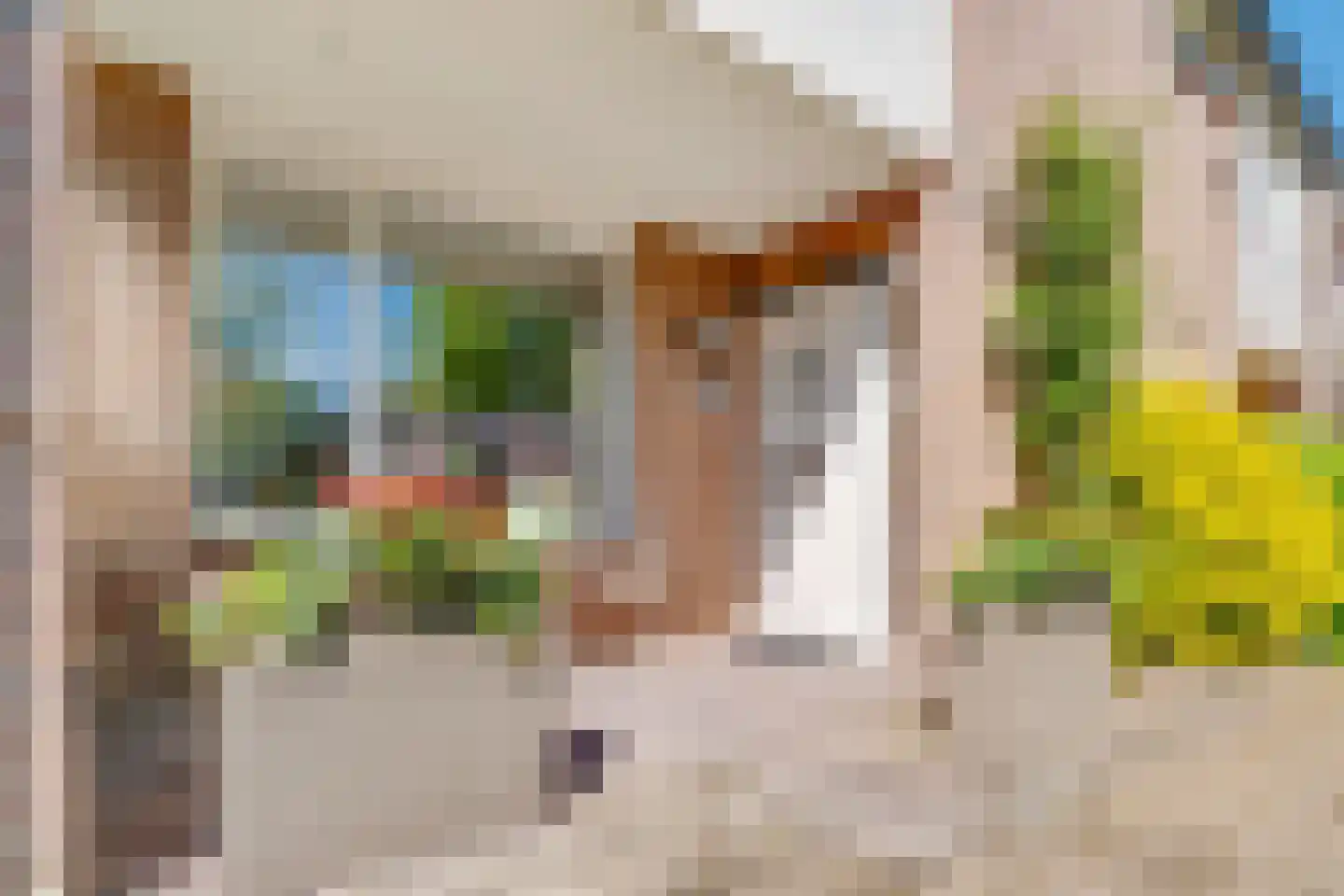 Schuilhoeve 44 Houten thumbnail 7