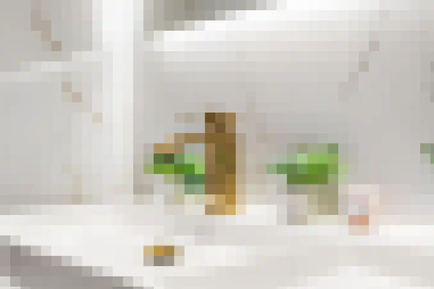 Schuilingsoord 139 Rotterdam thumbnail 33