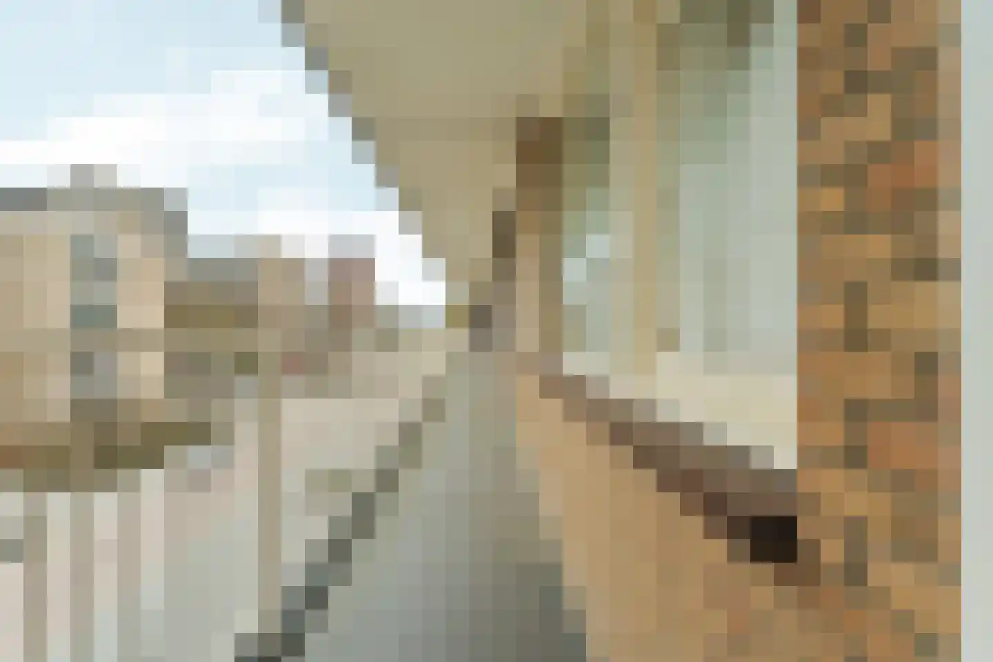 Schuilingsoord 139 Rotterdam thumbnail 48
