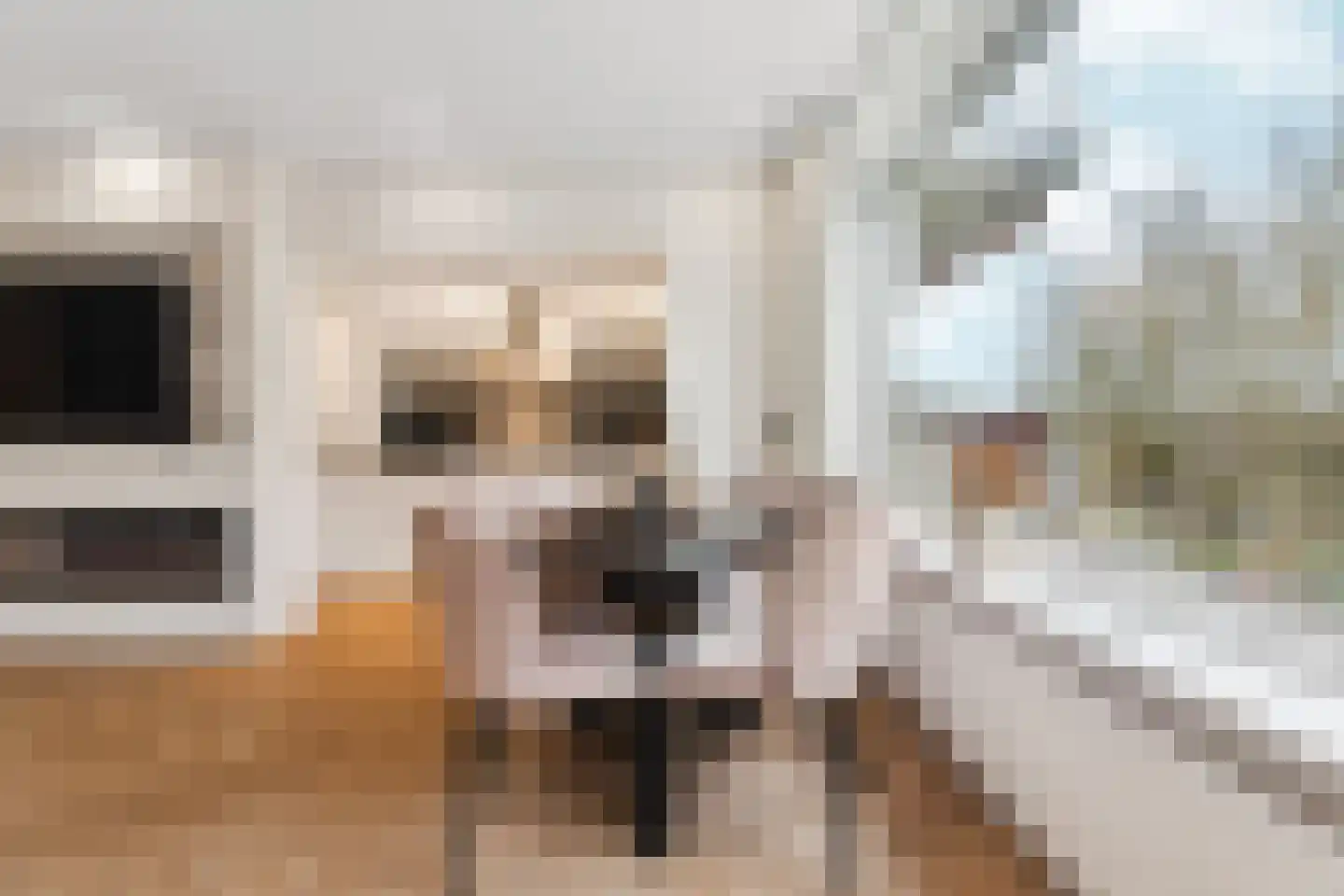 Schuilingsoord 139 Rotterdam thumbnail 9