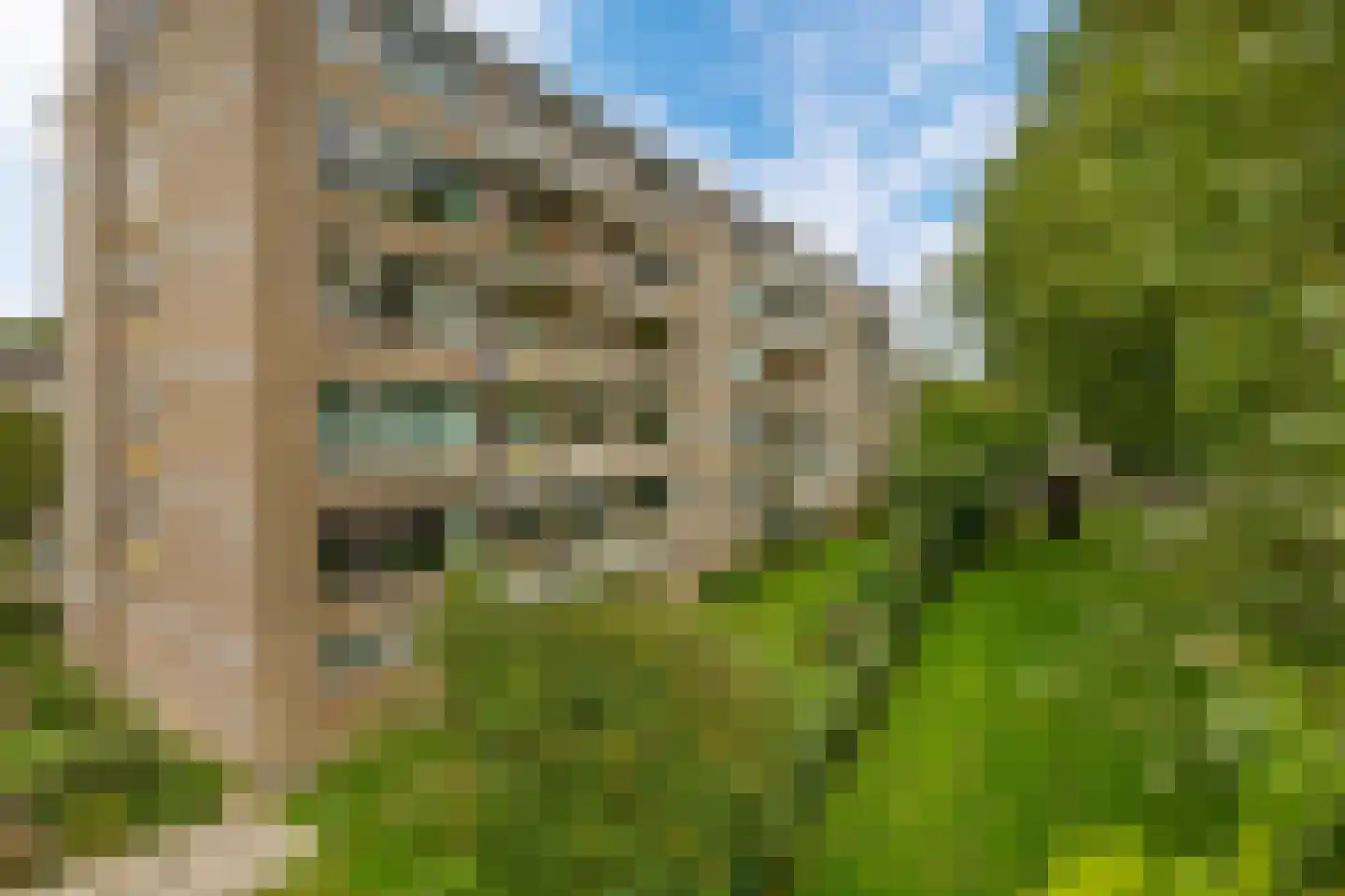 Schuilingsoord 149 Rotterdam thumbnail 27