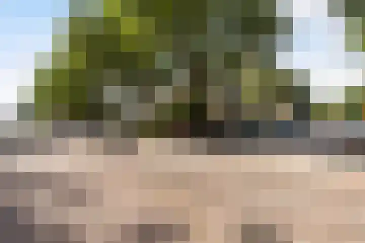 Schuilingsoord 161 Rotterdam thumbnail 23