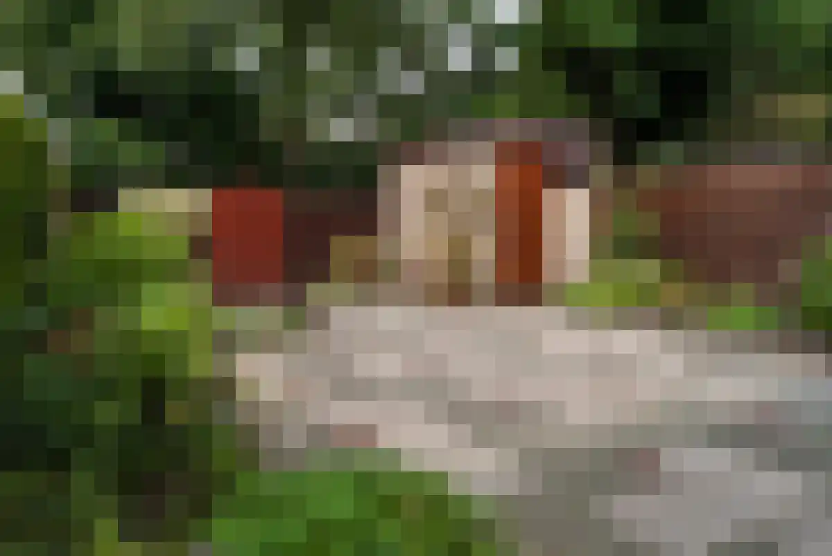 Schuilingsoord 47 Rotterdam thumbnail 26