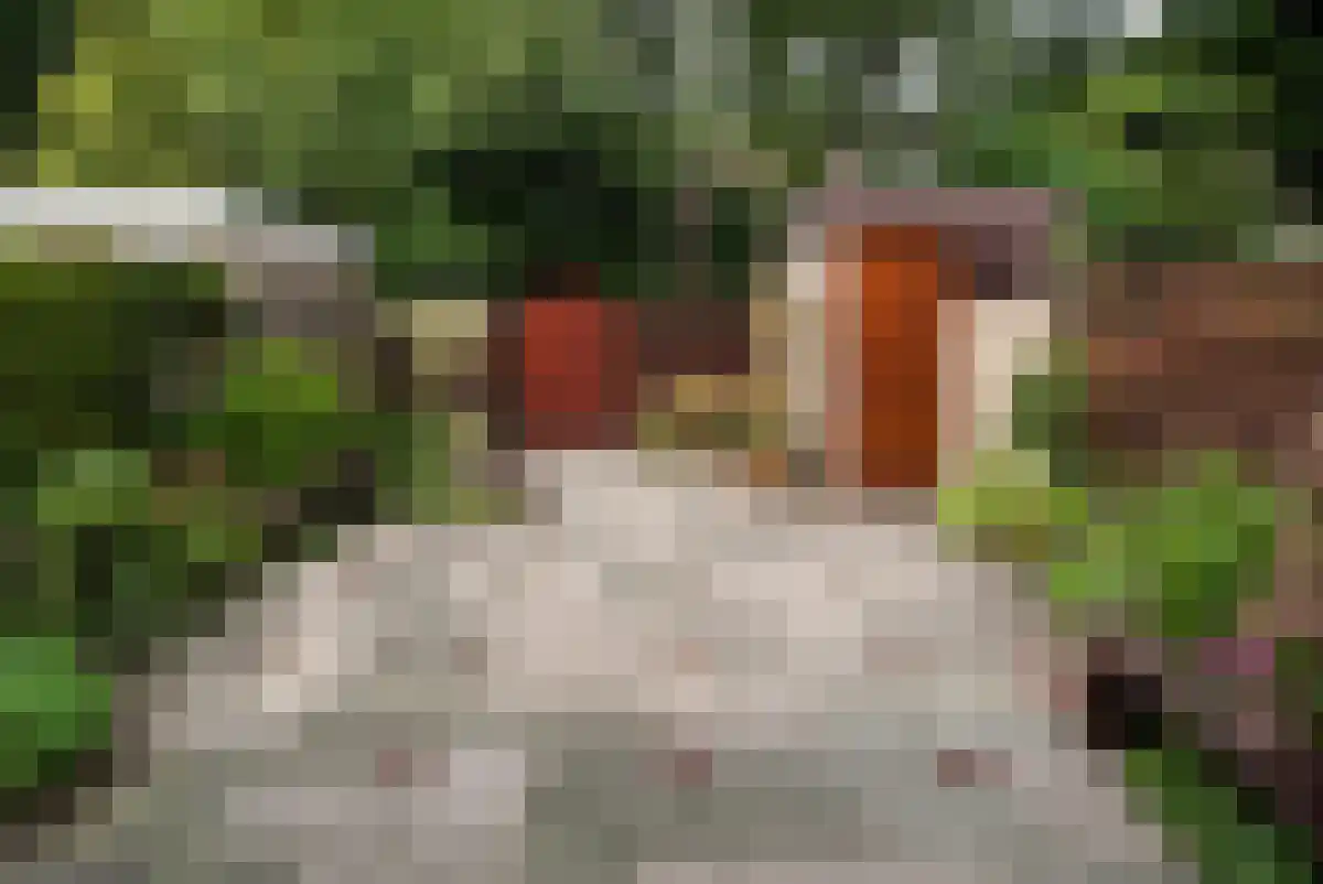 Schuilingsoord 47 Rotterdam thumbnail 4