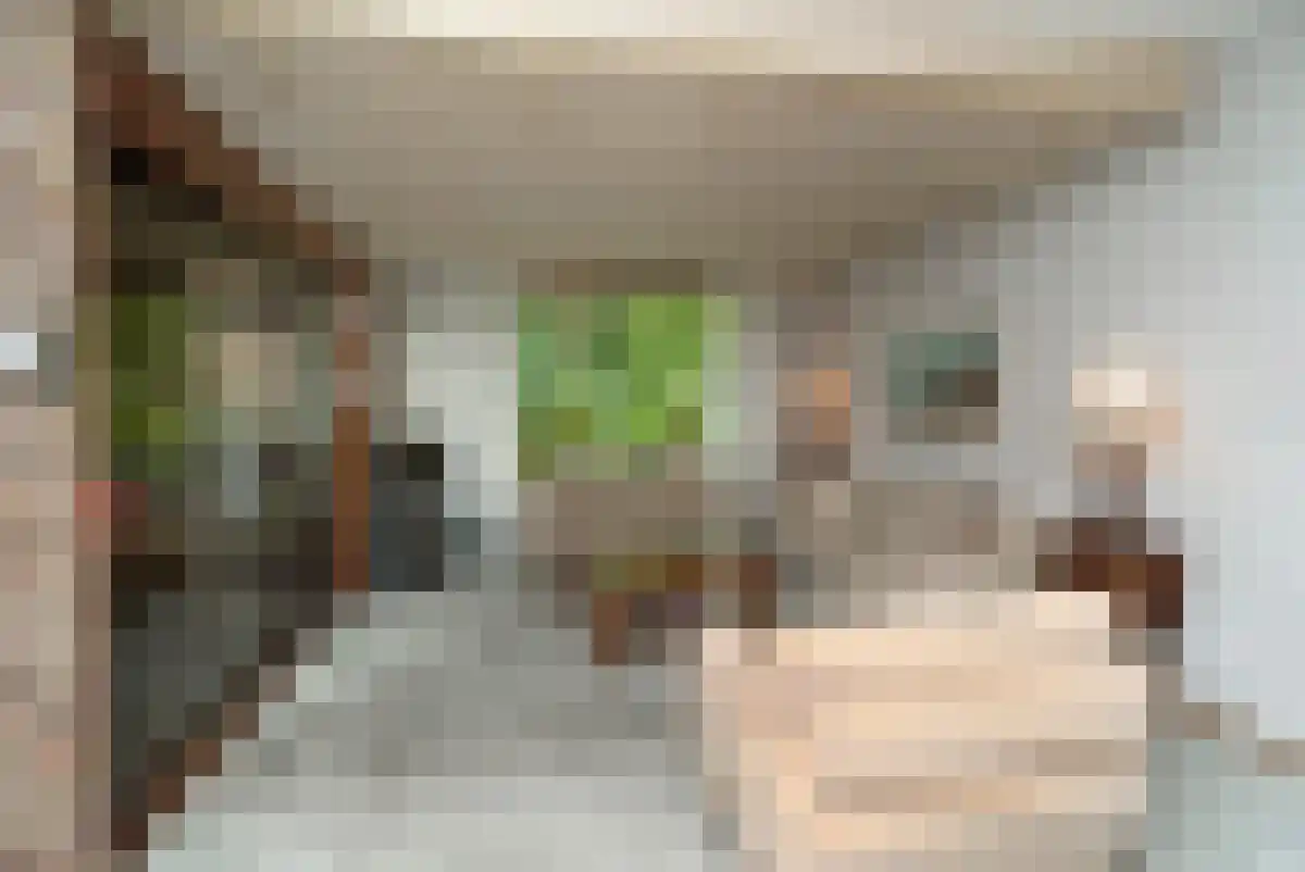 Schuilingsoord 47 Rotterdam thumbnail 5