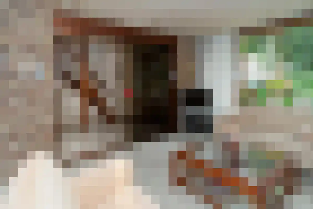 Schuilingsoord 47 Rotterdam thumbnail 7