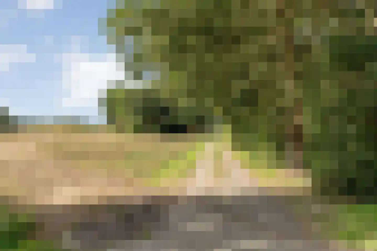 Schuineslootweg 36 Schuinesloot thumbnail 11