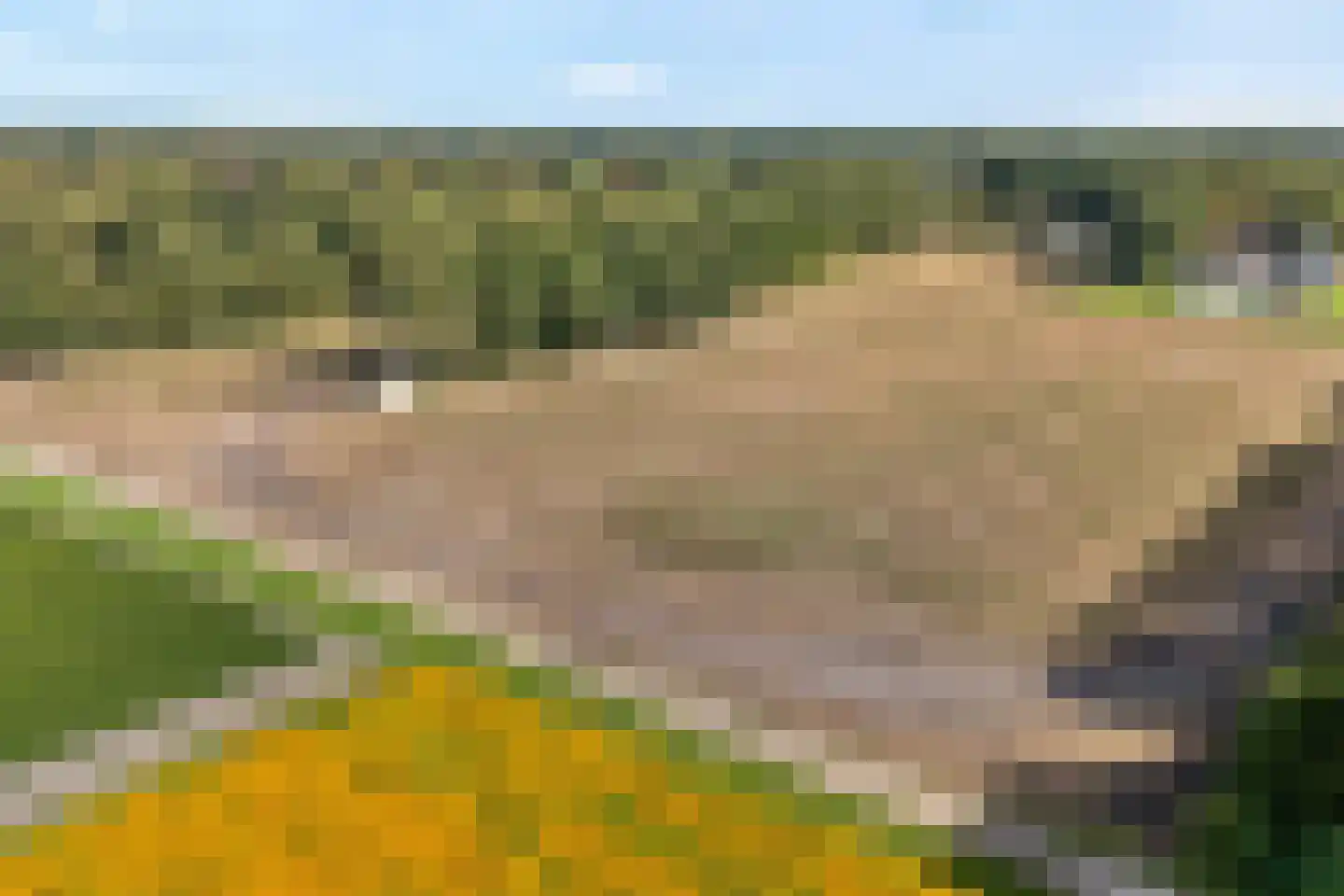 Schuineslootweg 36 Schuinesloot thumbnail 13