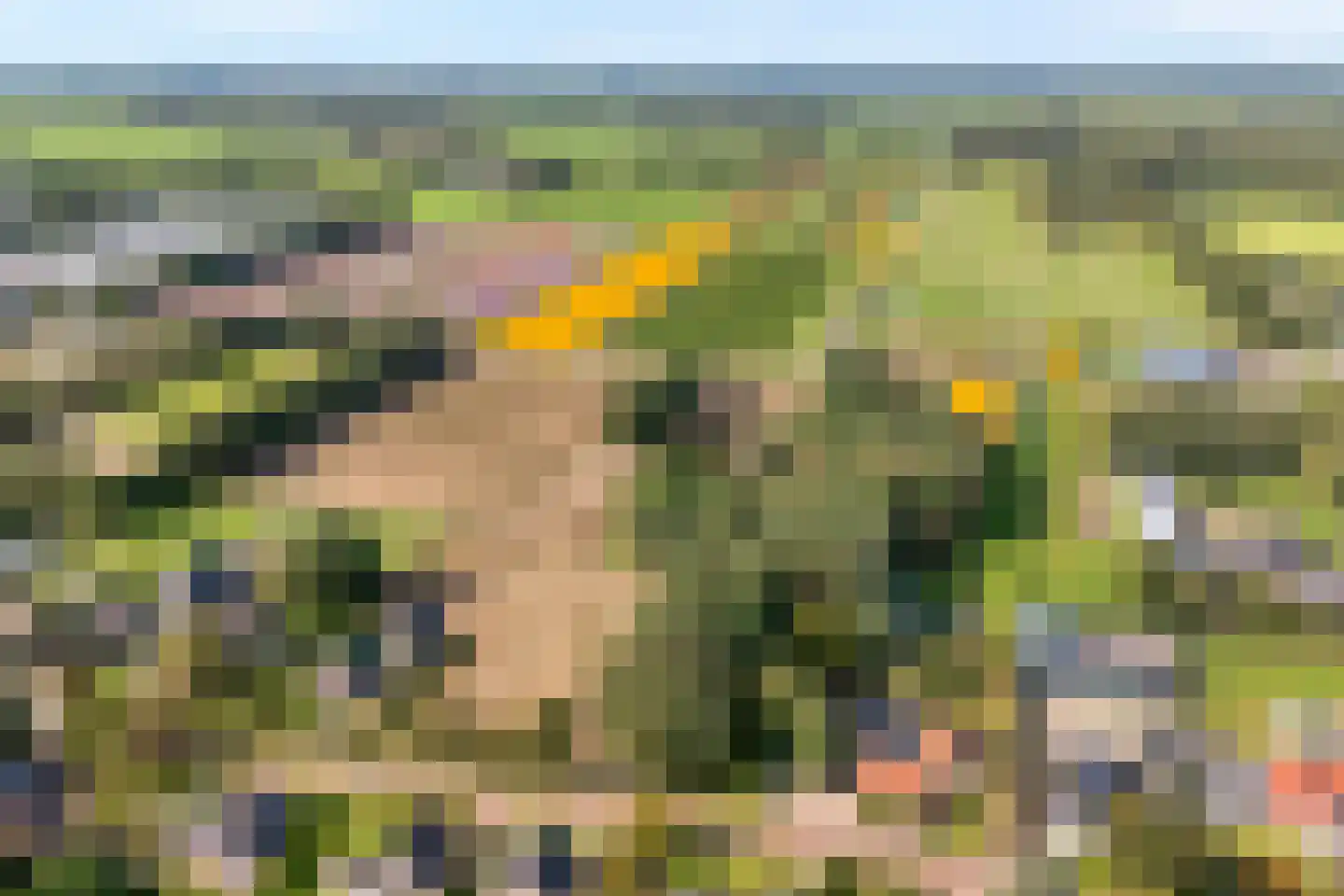 Schuineslootweg 36 Schuinesloot thumbnail 15
