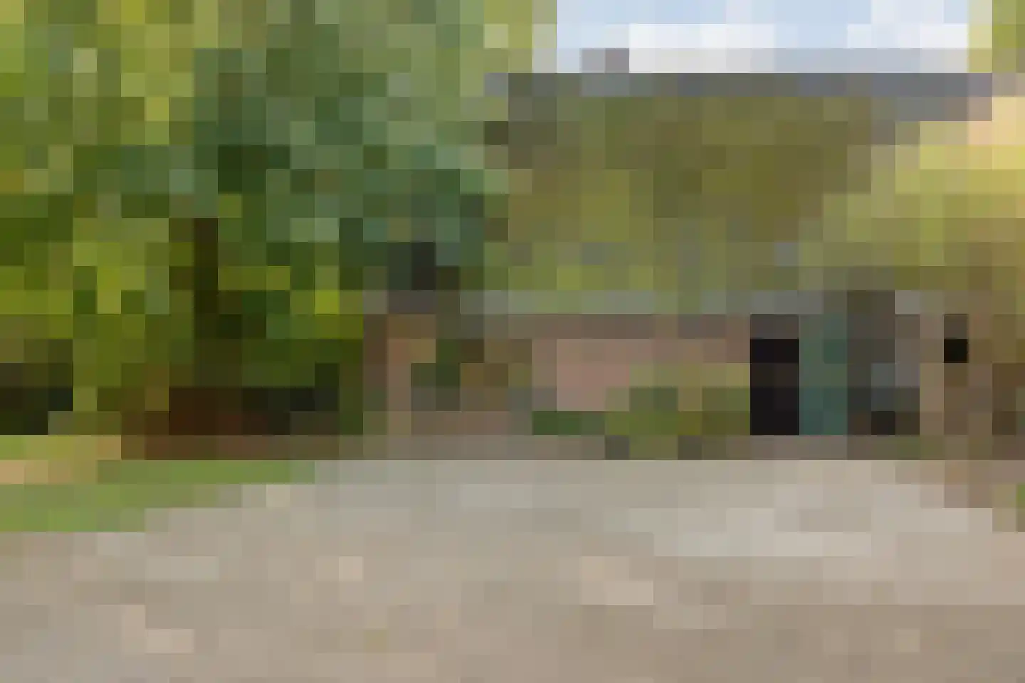 Schuineslootweg 36 Schuinesloot thumbnail 16