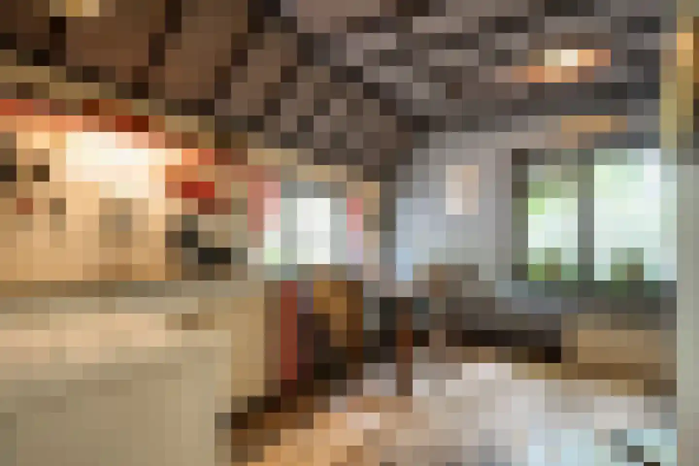 Schuineslootweg 36 Schuinesloot thumbnail 20