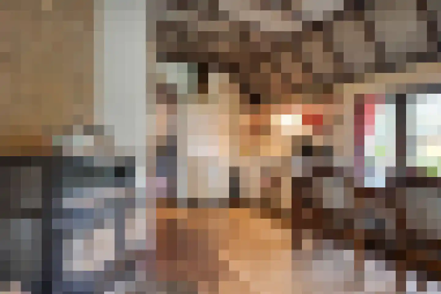 Schuineslootweg 36 Schuinesloot thumbnail 21
