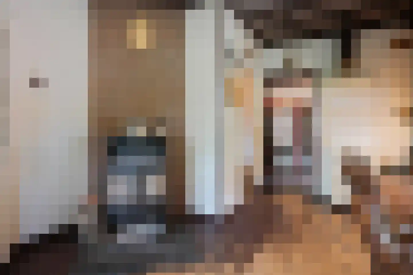 Schuineslootweg 36 Schuinesloot thumbnail 22