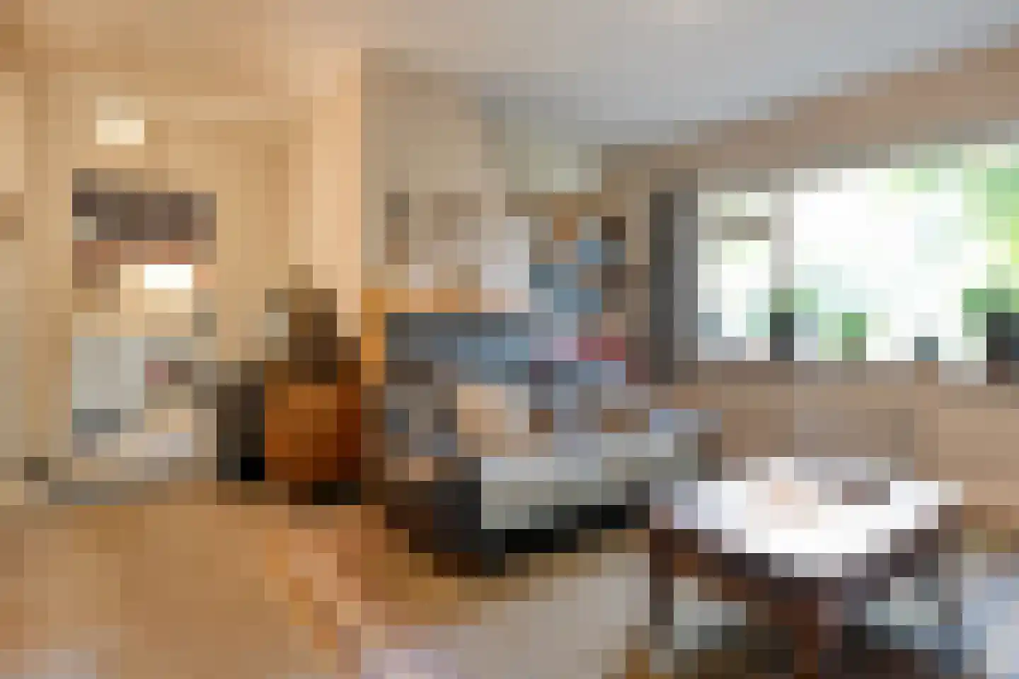 Schuineslootweg 36 Schuinesloot thumbnail 24