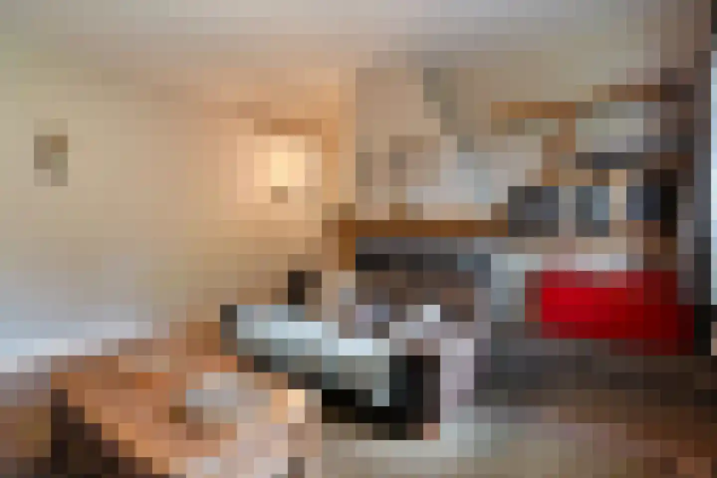 Schuineslootweg 36 Schuinesloot thumbnail 25