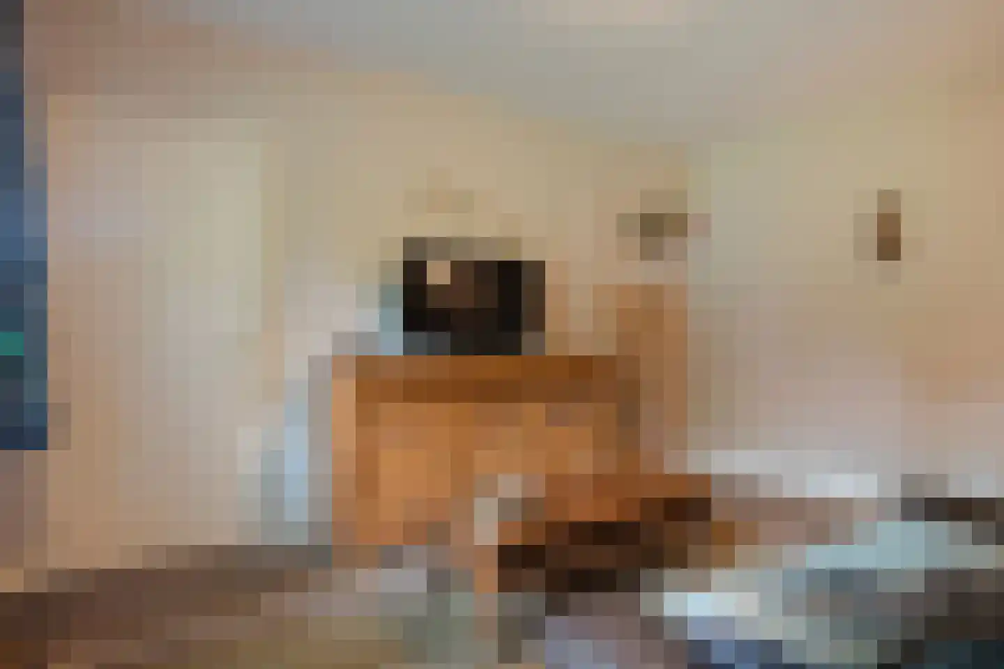 Schuineslootweg 36 Schuinesloot thumbnail 26