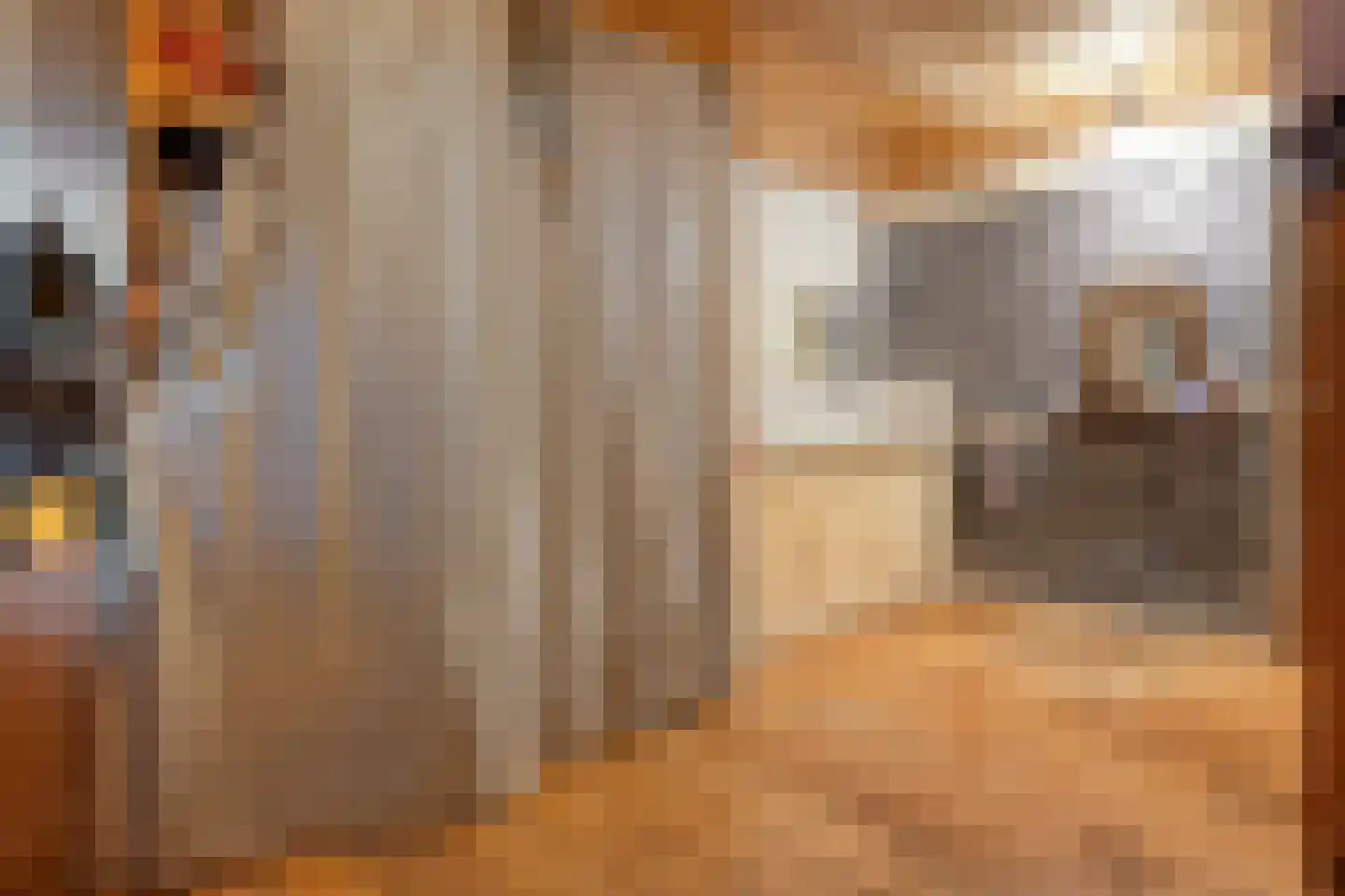 Schuineslootweg 36 Schuinesloot thumbnail 27