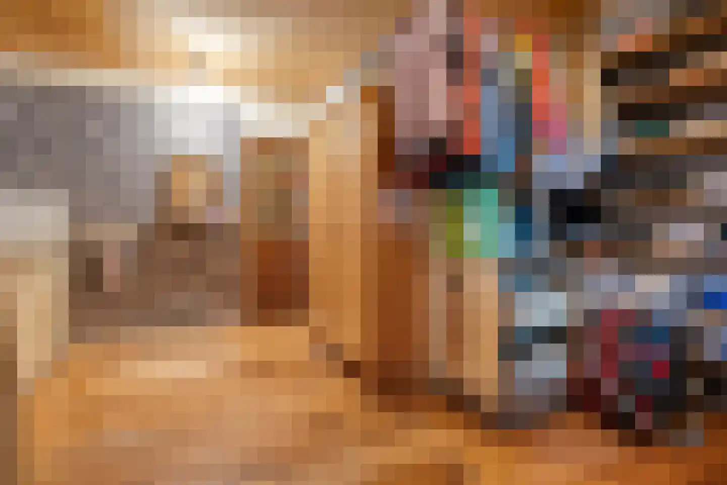 Schuineslootweg 36 Schuinesloot thumbnail 28