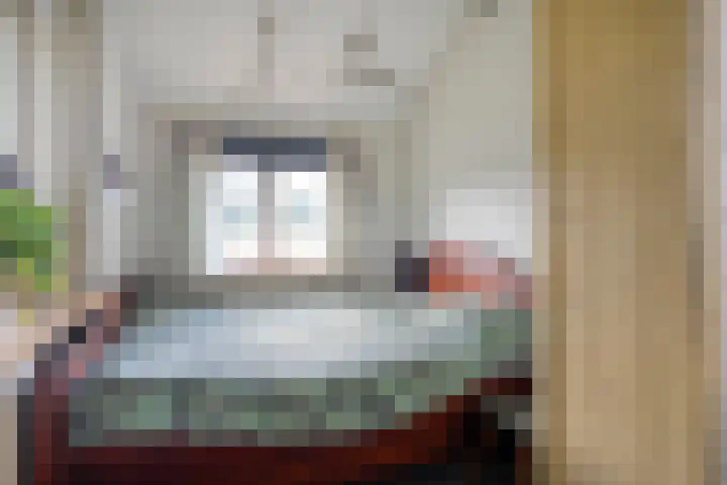 Schuineslootweg 36 Schuinesloot thumbnail 29