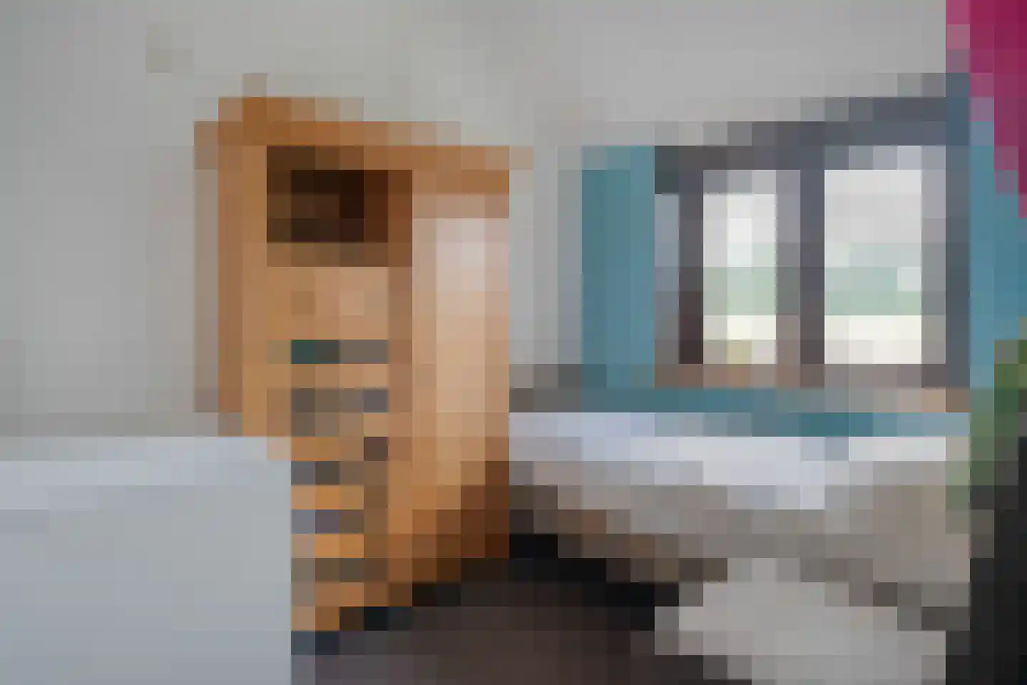 Schuineslootweg 36 Schuinesloot thumbnail 30
