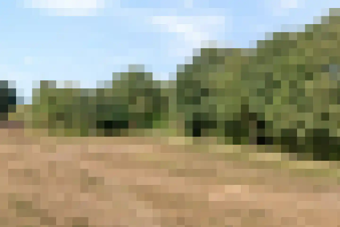 Schuineslootweg 36 Schuinesloot thumbnail 33