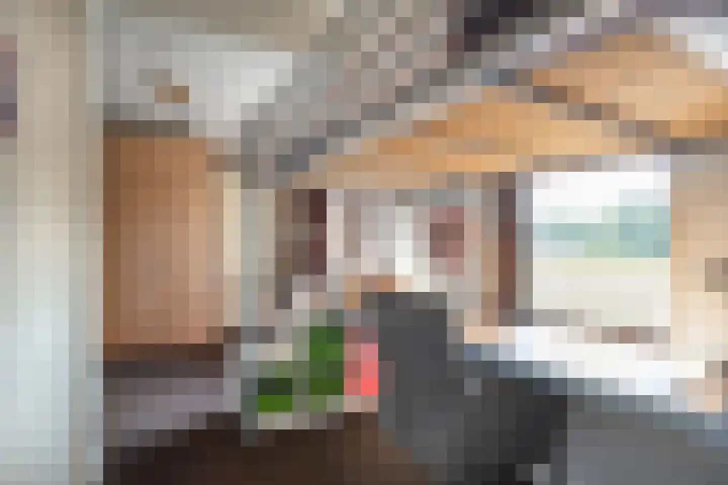 Schuineslootweg 36 Schuinesloot thumbnail 34