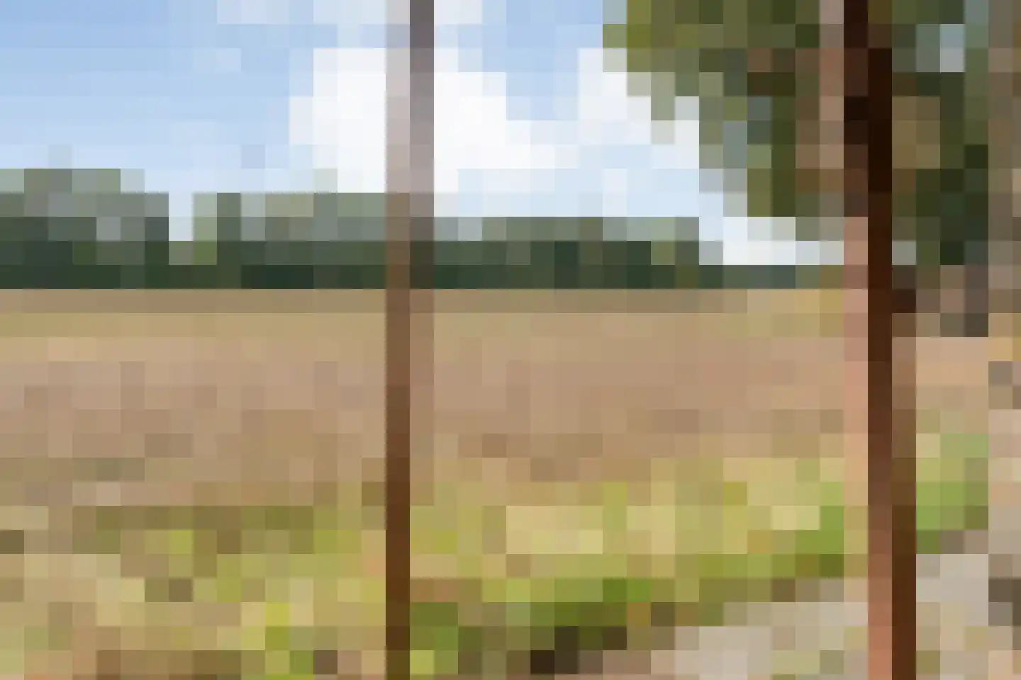 Schuineslootweg 36 Schuinesloot thumbnail 38