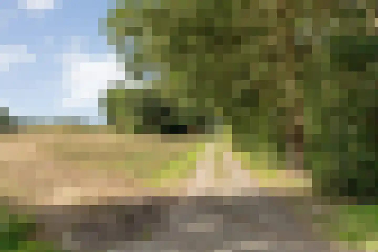 Schuineslootweg 36 Schuinesloot thumbnail 4