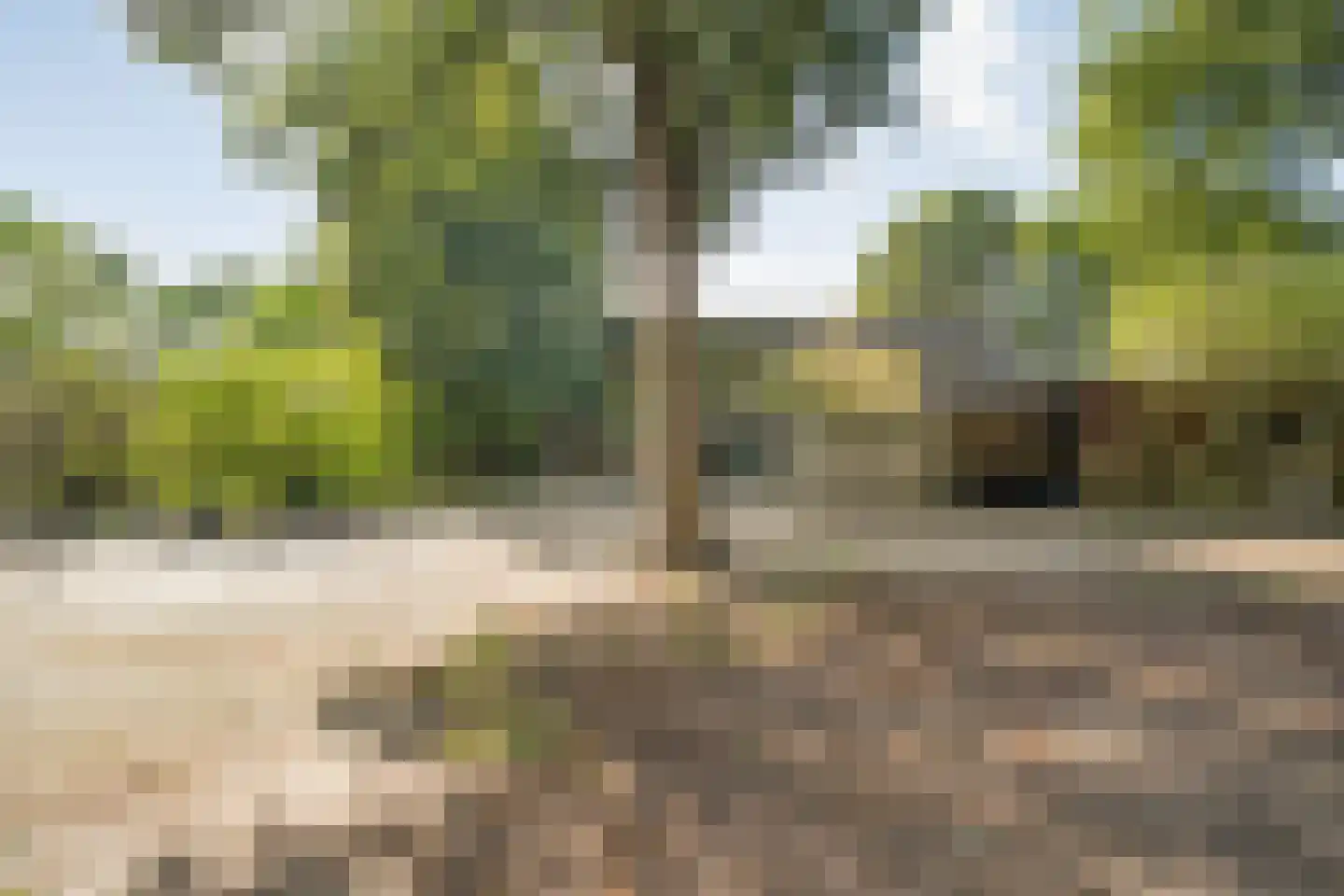 Schuineslootweg 36 Schuinesloot thumbnail 41