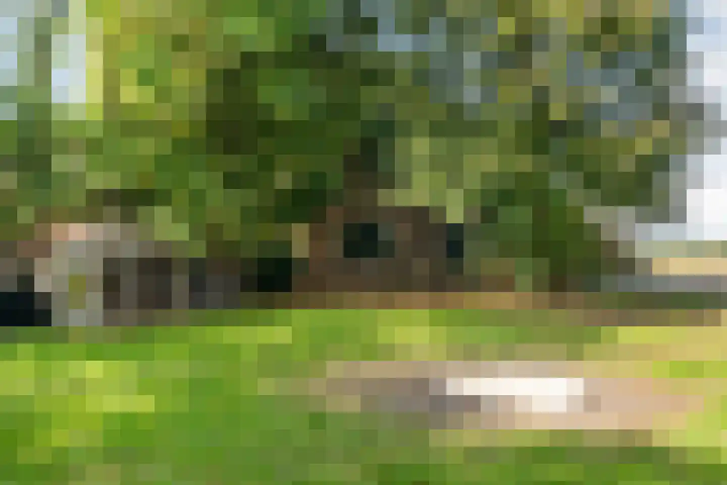 Schuineslootweg 36 Schuinesloot thumbnail 44