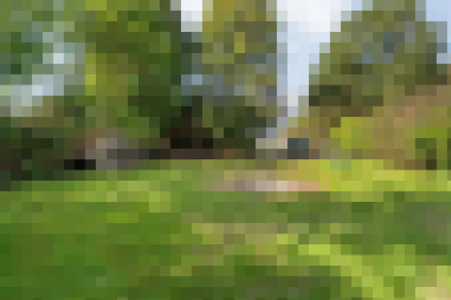 Schuineslootweg 36 Schuinesloot thumbnail 45
