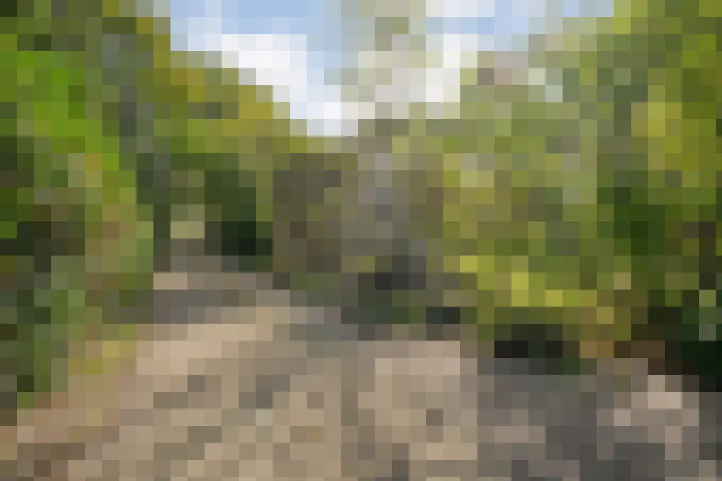 Schuineslootweg 36 Schuinesloot thumbnail 46