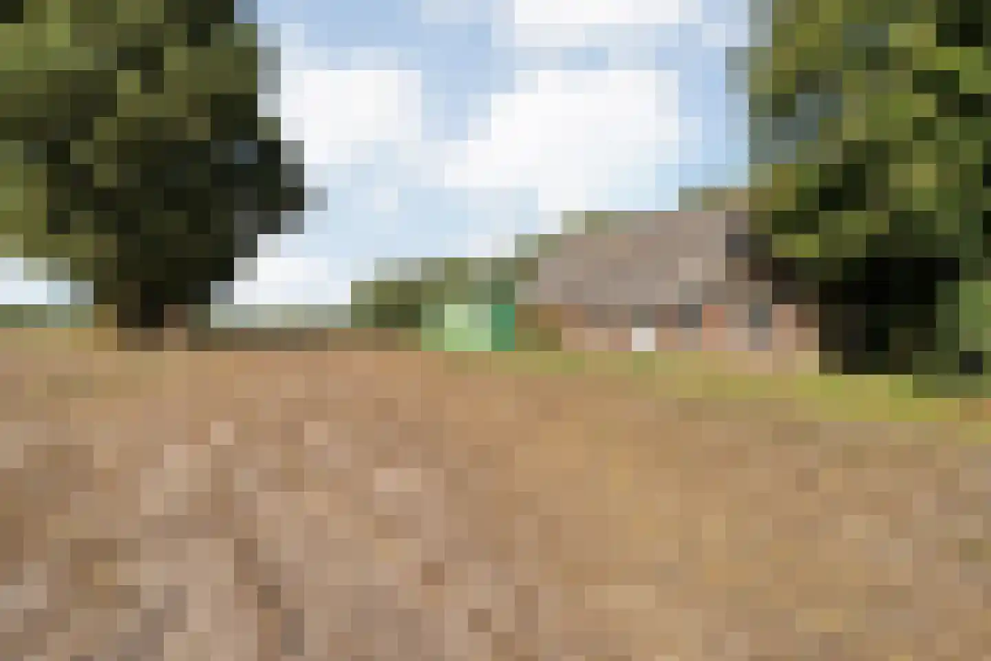 Schuineslootweg 36 Schuinesloot thumbnail 53