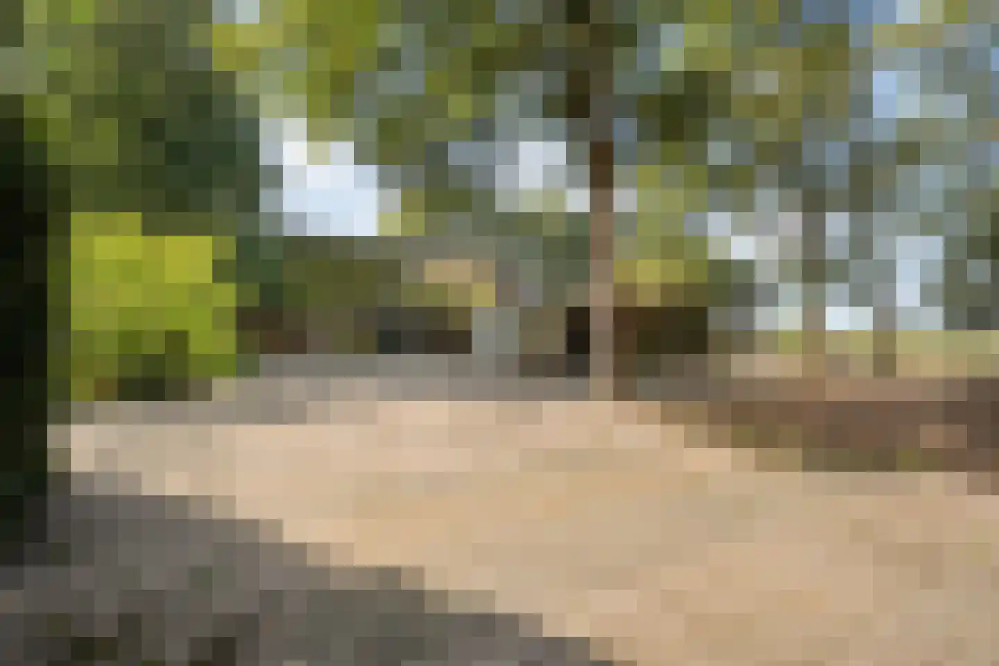 Schuineslootweg 36 Schuinesloot thumbnail 54