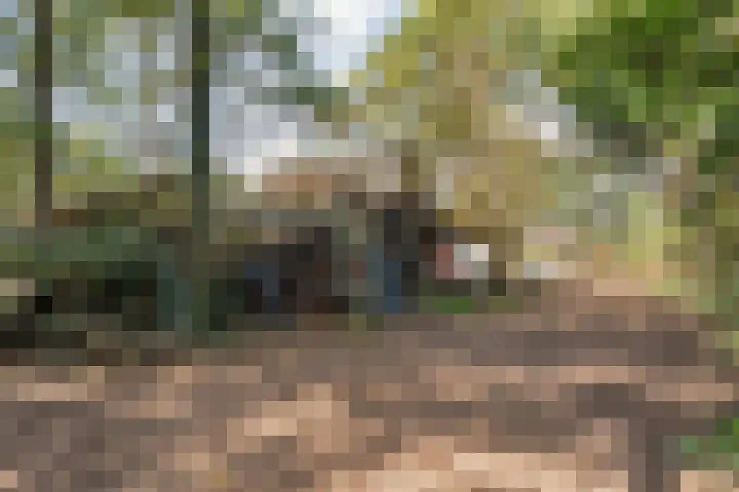 Schuineslootweg 36 Schuinesloot thumbnail 55
