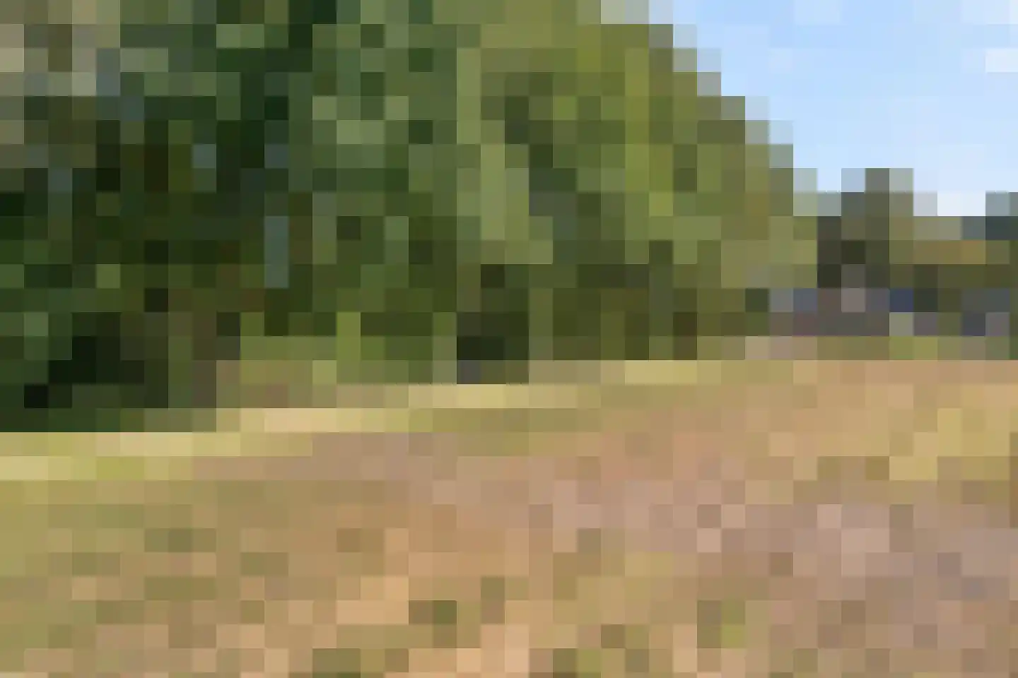 Schuineslootweg 36 Schuinesloot thumbnail 57