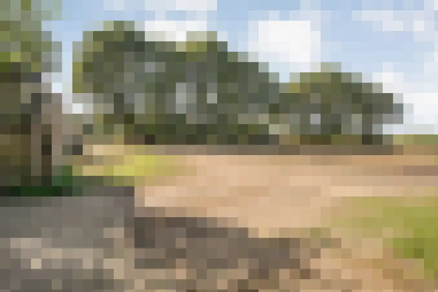 Schuineslootweg 36 Schuinesloot thumbnail 58
