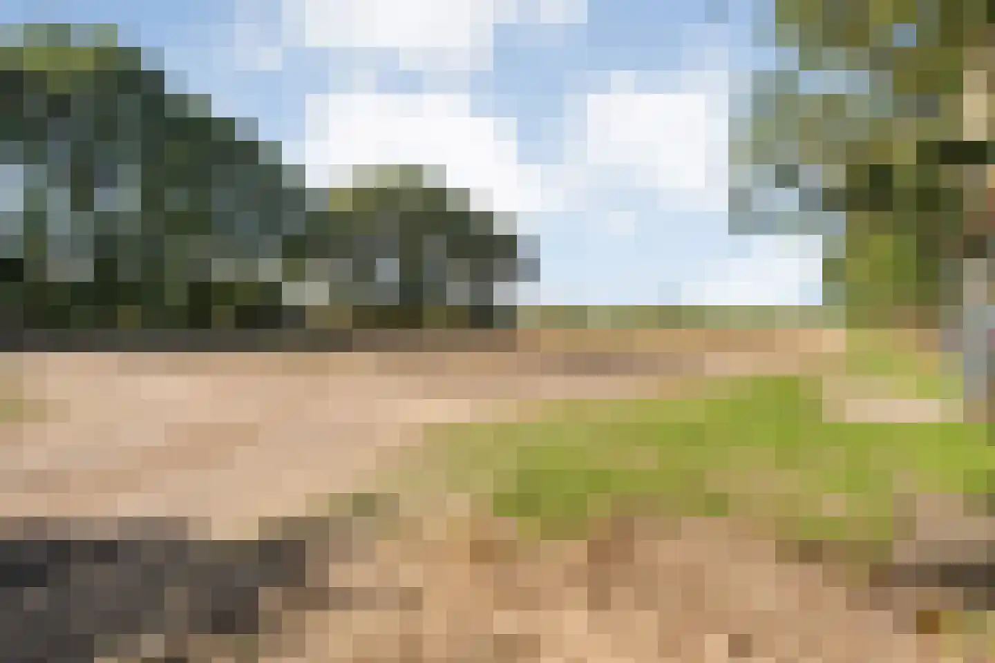 Schuineslootweg 36 Schuinesloot thumbnail 59