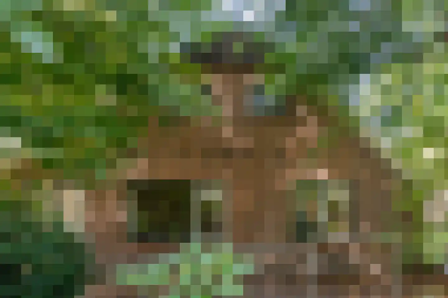 Schuineslootweg 36 Schuinesloot thumbnail 6