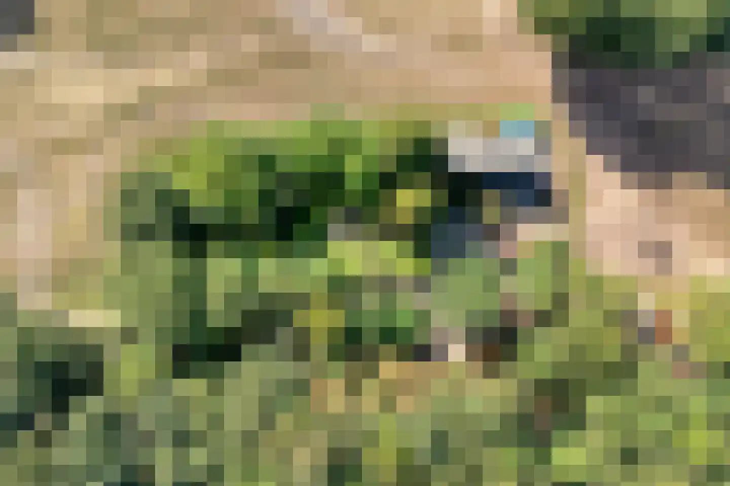 Schuineslootweg 36 Schuinesloot thumbnail 61