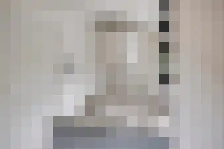Schuineslootweg 50 Schuinesloot thumbnail 11
