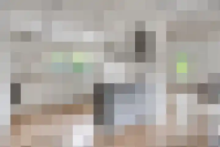Schuineslootweg 50 Schuinesloot thumbnail 12