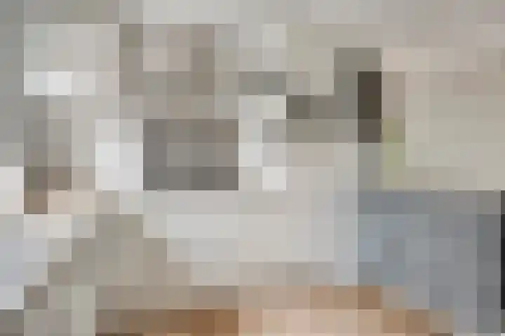 Schuineslootweg 50 Schuinesloot thumbnail 13