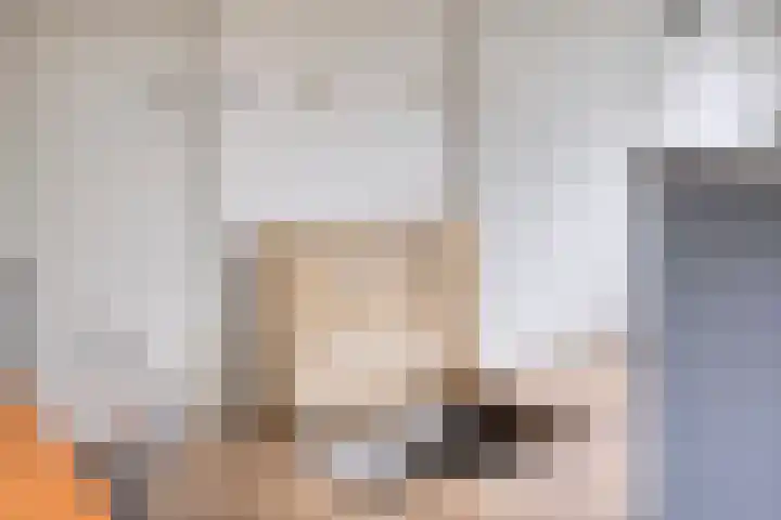 Schuineslootweg 50 Schuinesloot thumbnail 15