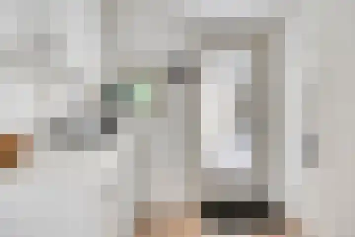 Schuineslootweg 50 Schuinesloot thumbnail 17