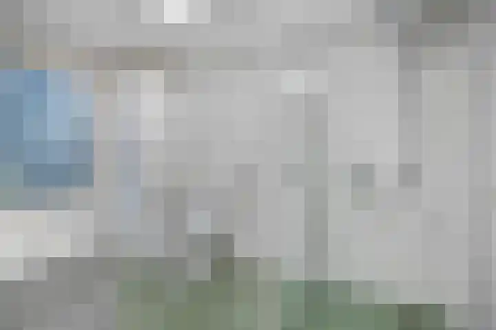 Schuineslootweg 50 Schuinesloot thumbnail 18