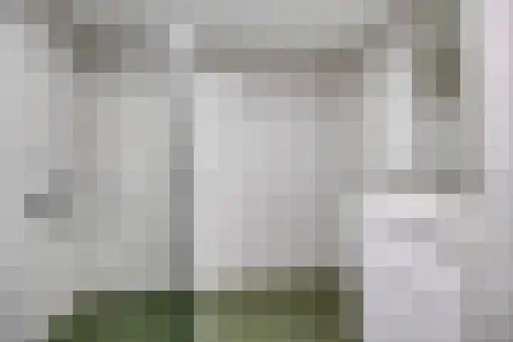 Schuineslootweg 50 Schuinesloot thumbnail 20