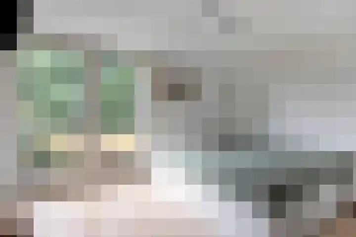 Schuineslootweg 50 Schuinesloot thumbnail 21
